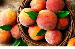 水蜜桃可以放冰箱保存吗 水蜜桃这样保存更好吃
