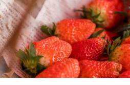 减肥晚上吃草莓会长胖吗 吃草莓是不是不能喝牛奶