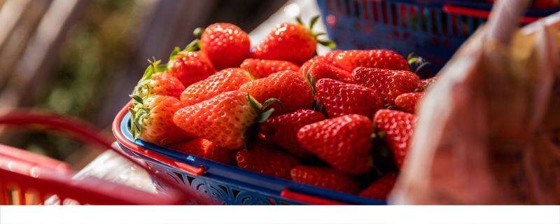 草莓冻了解冻后能吃吗 冷冻草莓怎么做好吃
