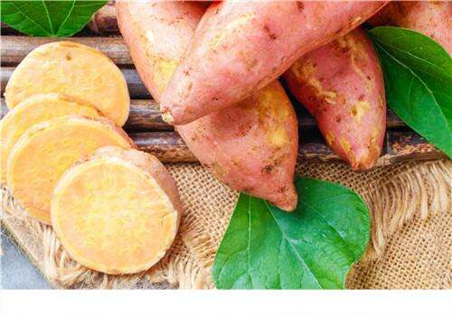 秋季荨麻疹可以吃红薯吗 秋季荨麻疹吃什么水果好