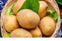 土豆的营养价值与食用功效 土豆的热量