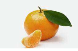 橘子的营养价值 砂糖橘子的营养价值