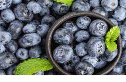 蓝莓和火龙果能同食吗 蓝莓和鸡蛋可以一起吃吗