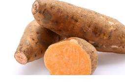 红薯是碳水化合物吗 吃红薯可以减肥吗