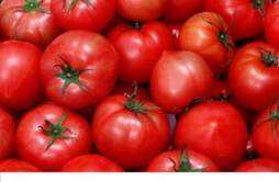 吃番茄有什么用 番茄的适用人群与禁忌人群