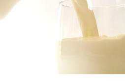 牛奶与香菇可以同食吗 牛奶炖香菇可以治疗鼻炎吗