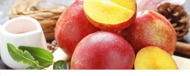桃子不能和什么水果一起吃 对桃子过敏是什么原因