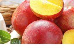 桃子不能和什么水果一起吃 对桃子过敏是什么原因