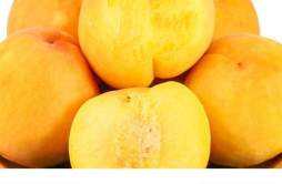 黄桃不能和什么水果一起吃 黄桃的禁忌有哪些