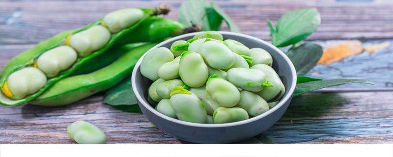 蚕豆和豌豆的区别 蚕豆与豌豆哪个营养高