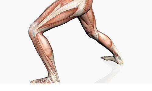 小腿太粗是什么原因 脂肪过多和肌肉发达导致