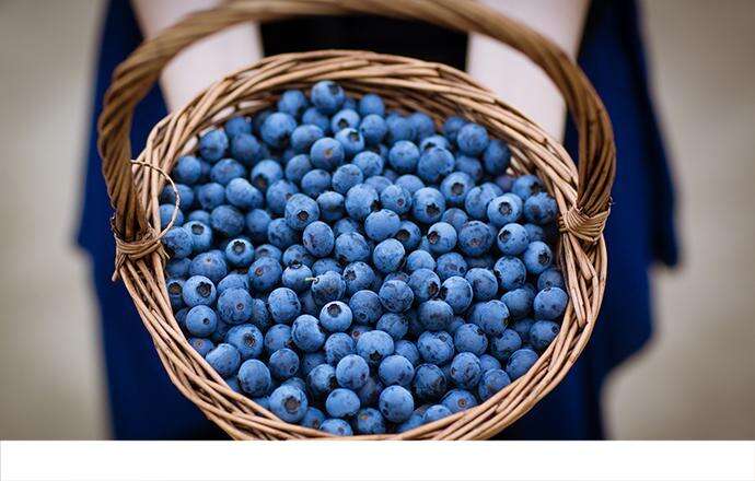 蓝莓面膜有什么功效 用蓝莓面膜有什么好处