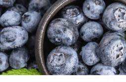晚上吃蓝莓有什么好处 晚上吃蓝莓能减肥吗