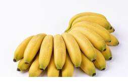 芭蕉是水果还是蔬菜 芭蕉是什么季节的