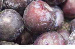 黑布林水果的功效与作用 黑布林水果的食用方式和注意事项