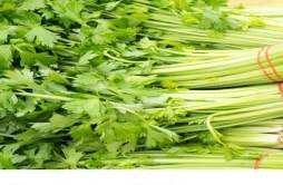 芹菜怎么焯水脆又绿又嫩焯 芹菜怎么能减少维生素流失