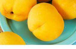 黄桃和芒果能一起吃吗 黄桃和芒果一起吃会中毒吗