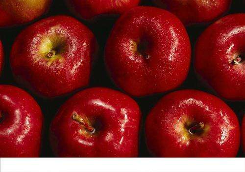 蛇果和苹果有什么区别 蛇果和苹果有什么区别图片