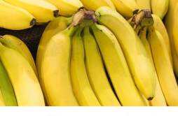 空腹吃香蕉可以减肥吗 香蕉为什么减肥