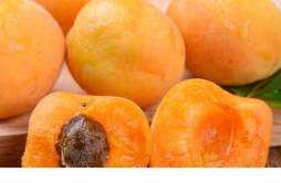 杏子可以吃皮吗 杏子皮的功效与作用