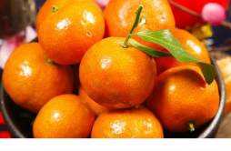 橘子怎么保存新鲜时间长 橘子放冰箱好还是放外面好
