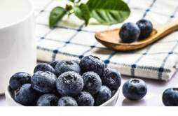 速冻蓝莓怎么吃 速冻蓝莓一次可以吃几颗