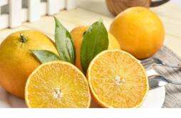 盐蒸橙子止咳化痰有效吗 盐蒸橙子适用于寒咳还是热咳的人吃