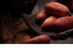 红薯当主食有减肥效果吗 红薯当饭吃会胖吗