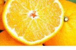 果冻橙的功效与作用禁忌 果冻橙和橙子的区别