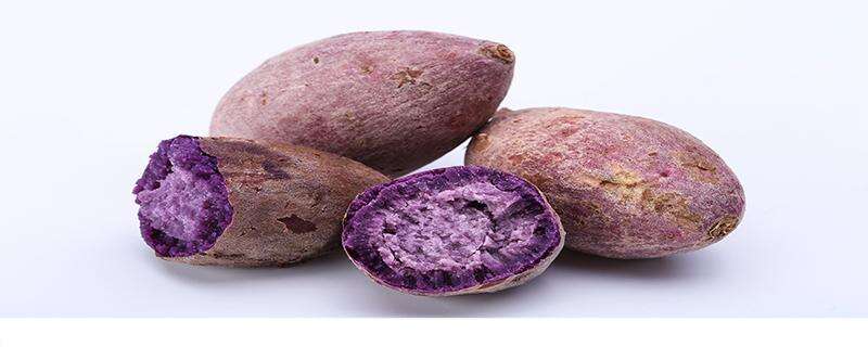 芭蕉和紫薯能一起吃吗 吃完芭蕉多久吃紫薯