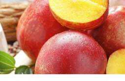 油桃如何长时间保存 油桃怎么保存能不变软