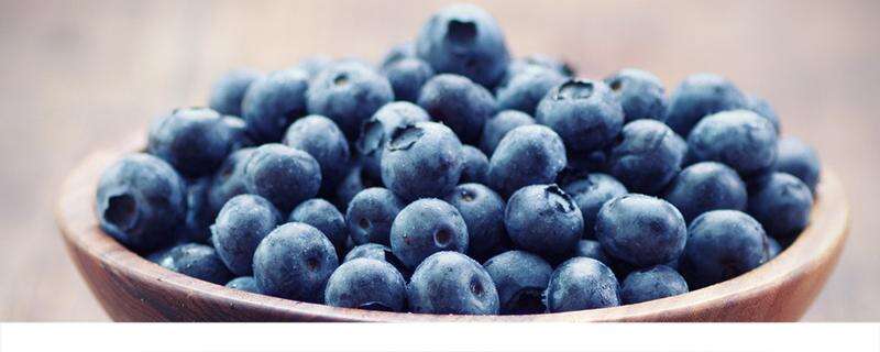 蓝莓可以和西红柿一起吃吗 蓝莓和西红柿一起吃的好处