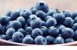 蓝莓可以和西红柿一起吃吗 蓝莓和西红柿一起吃的好处