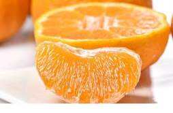 橘子用保鲜膜保存多久 橘子怎么保存至成熟