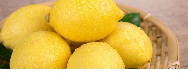 柠檬和香橼是一样的吗 柠檬有什么功效作用