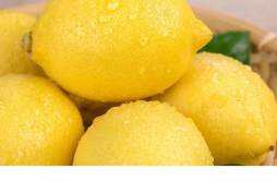 柠檬和香橼是一样的吗 柠檬有什么功效作用
