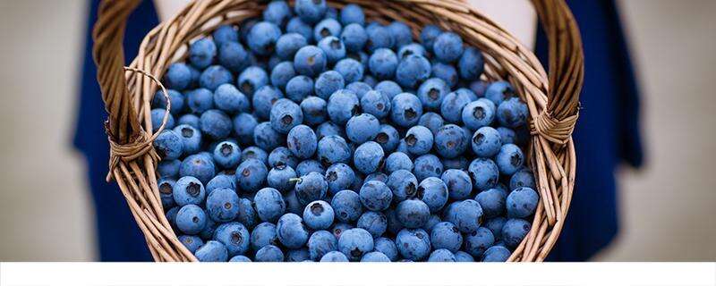 蓝莓怎么吃要剥皮吗 蓝莓一天吃几颗对眼睛好