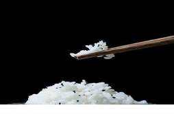 豆角大米饭怎么做好吃 豆角米饭有什么营养