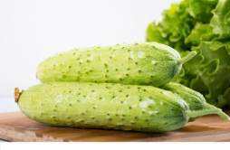 吃黄瓜为什么会拉肚子 天天吃黄瓜好吗