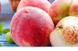 水蜜桃能空腹吃吗 水蜜桃有什么功效作用
