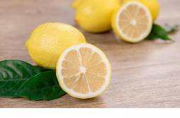 生吃柠檬可以减肥吗 新鲜柠檬怎么吃减肥最快