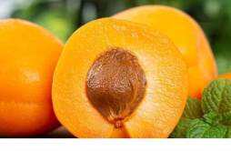 杏子太酸怎么处理 杏子放几天会不会变甜