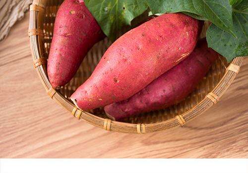 红薯叶属于发物嘛 红薯叶哪些人不能吃