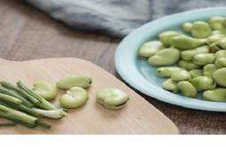 蚕豆怎么做好吃 吃蚕豆有什么好处