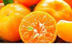 橘子可以和柿子同吃吗 橘子不能和什么一起吃