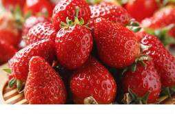 草莓吃了可以减肥吗 草莓怎么吃才能减肥