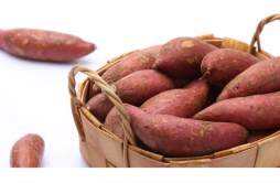 生菜和红薯能一起吃吗 吃一个月生菜瘦多少