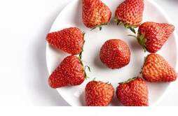 丹东草莓如何保存 丹东草莓需要放冰箱吗