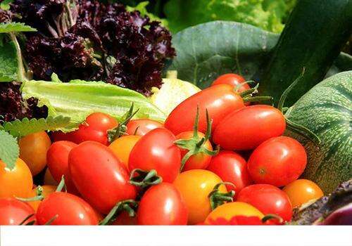 番茄生吃还是熟吃有营养 番茄适用哪些人群