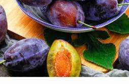 西梅是什么季节的水果 西梅是李子的一种吗